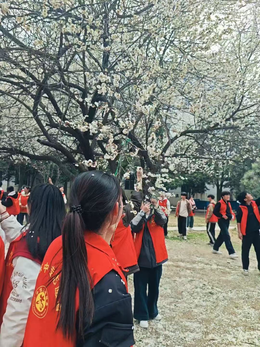 志愿服務