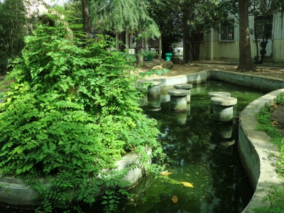展示圖片22